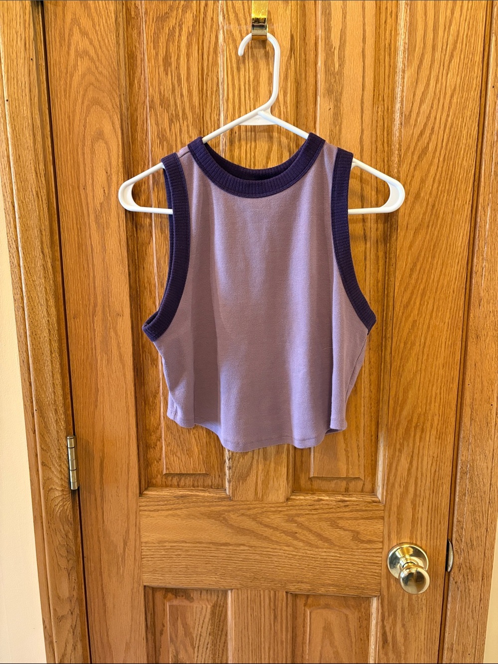 wild fable Lavender Cropped Ribbed Tank with Dark Purple Trim